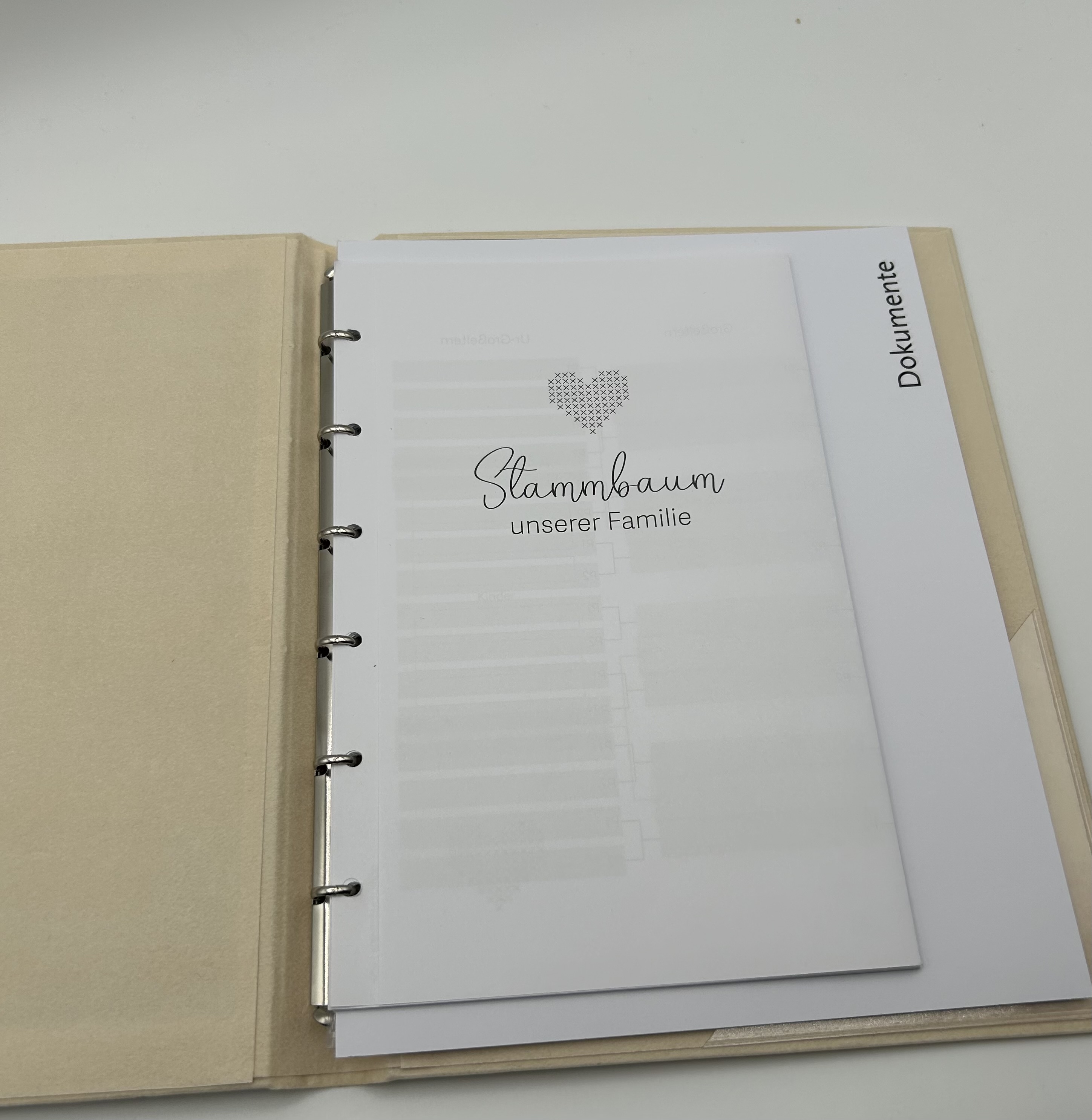 Runa beige A5+Ringmechanik