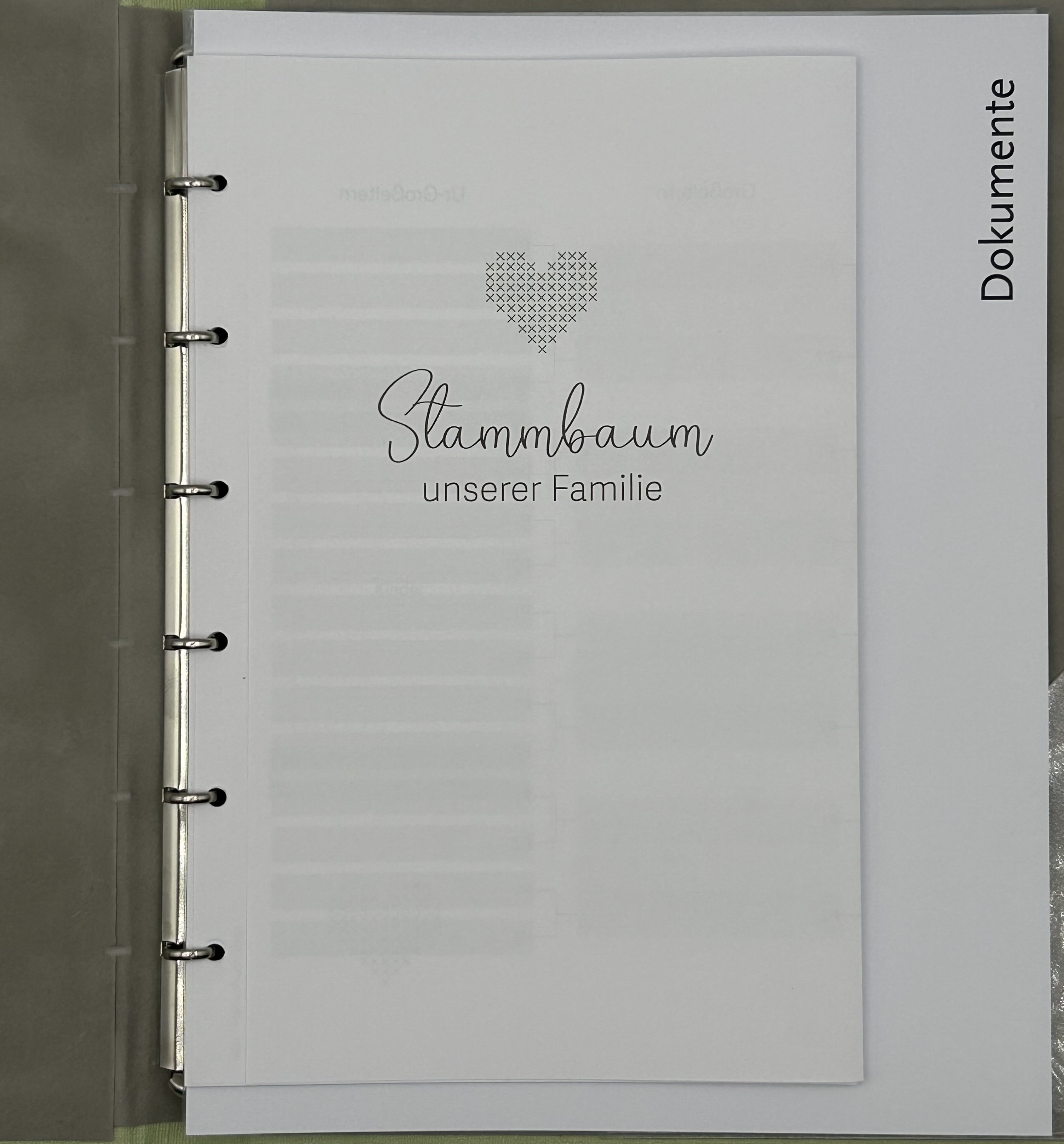 Pastello beige-rosa A5+ Ringmechanik Pastello beige-rosa A5+ Ringmechanik